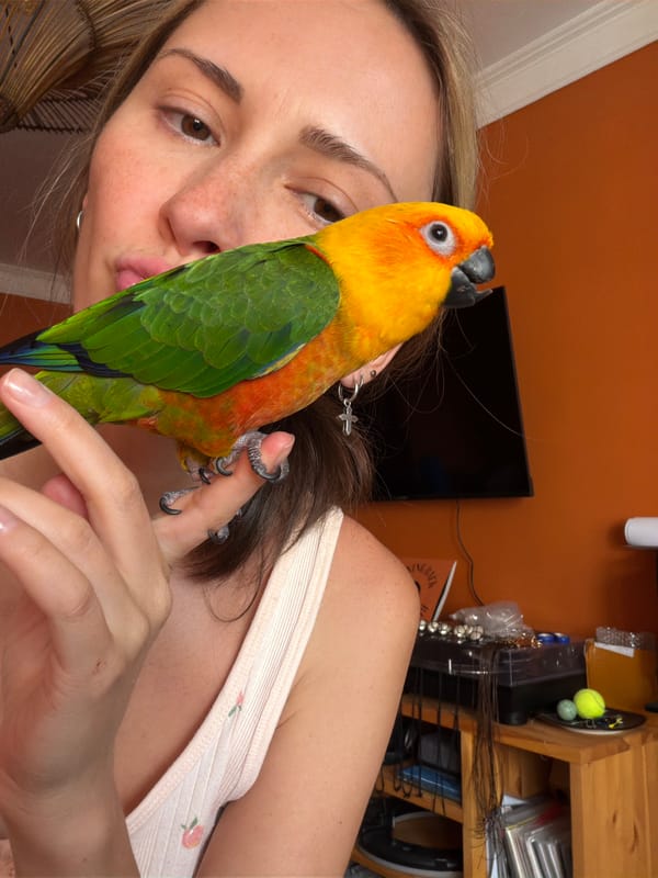 Woman poses with colorful parrot in casual photo session
