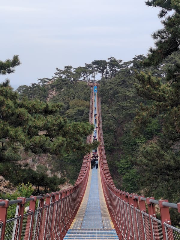 Morning documentation of Ulsan bridge and park scenery