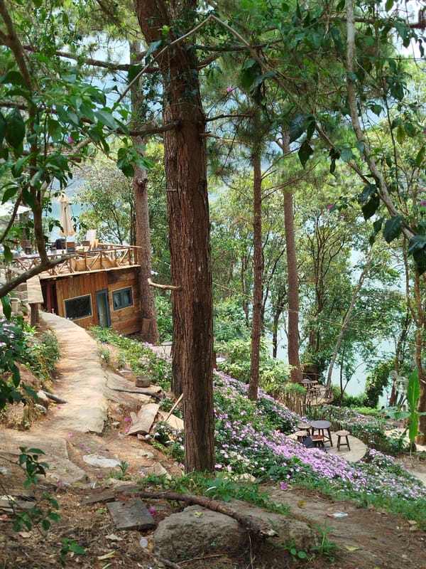 Morning lakeside scenes documented around Tuyen Lam Lake, Da Lat