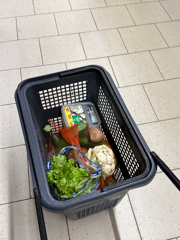 Fresh produce shopping and food preparation captured in kitchen