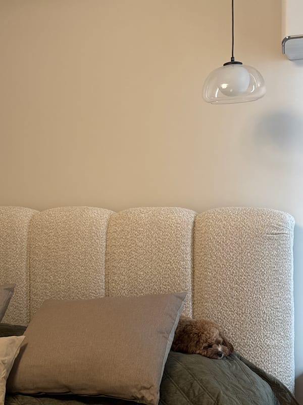 Bedroom interior with poodle captured in Burgas