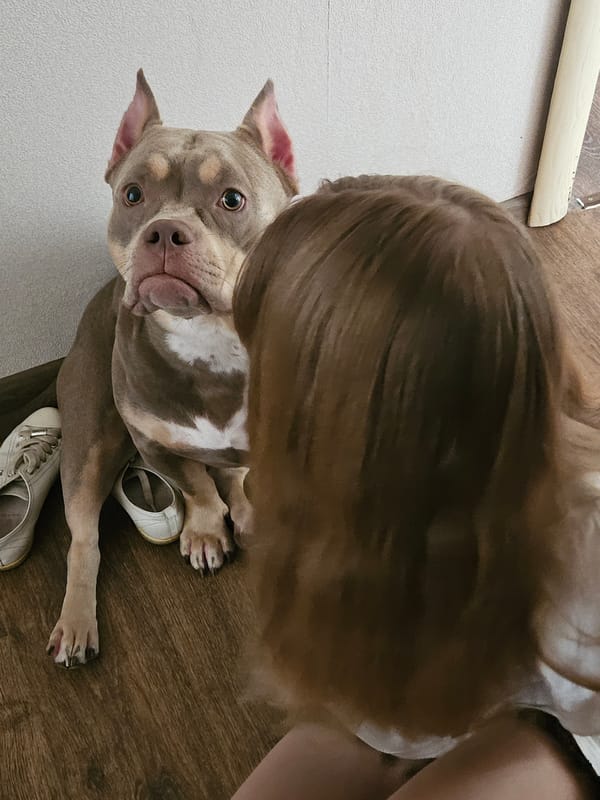 Dog and youth share quiet indoor moment in Ulyanovsk