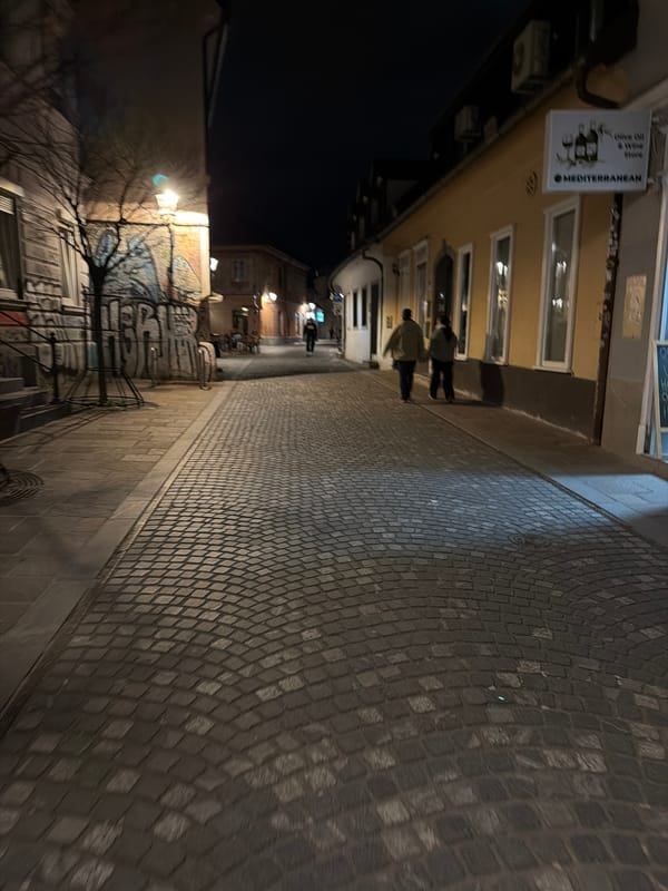 Evening street scenes captured across Ljubljana's illuminated city center