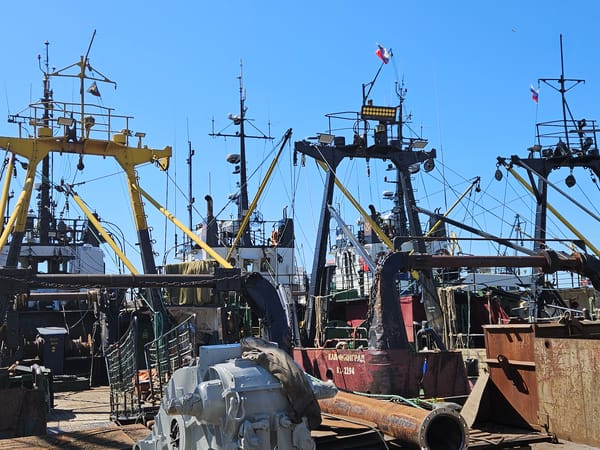 Kaliningrad harbor in full working mode on a clear morning