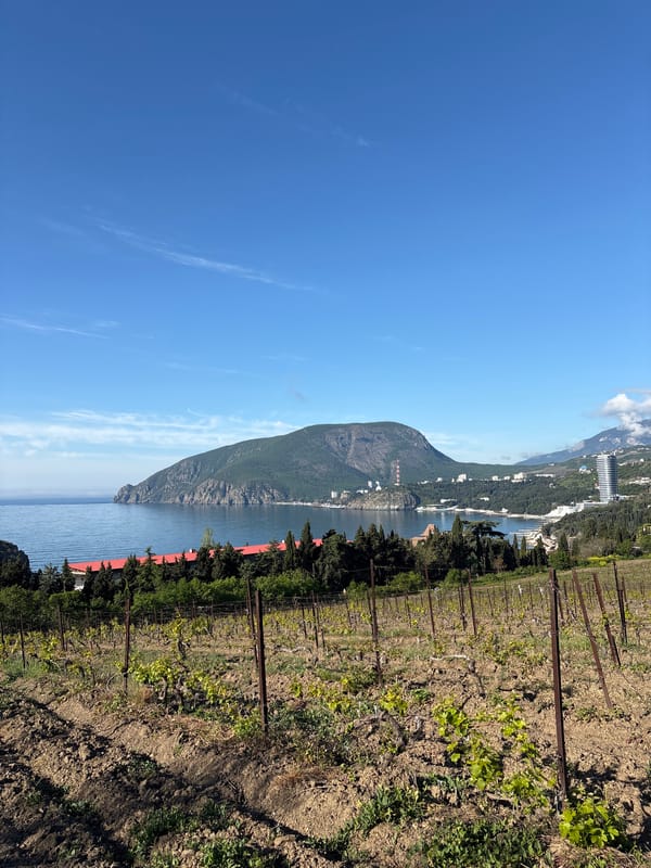 Vineyard workers tend coastal grape fields in Utios, Ukraine
