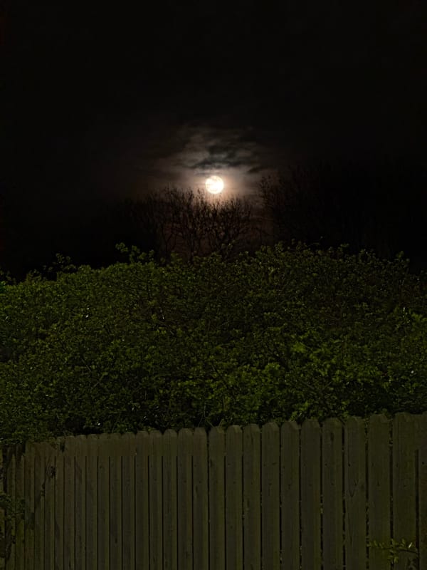 Full moon visible in London night sky