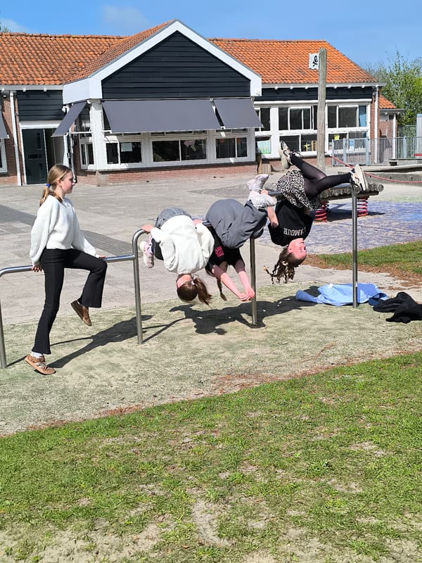 Spring morning scenes: children playing, sheep grazing in Alkmaar