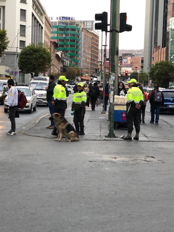 Police patrol with dog observed on La Paz sidewalk