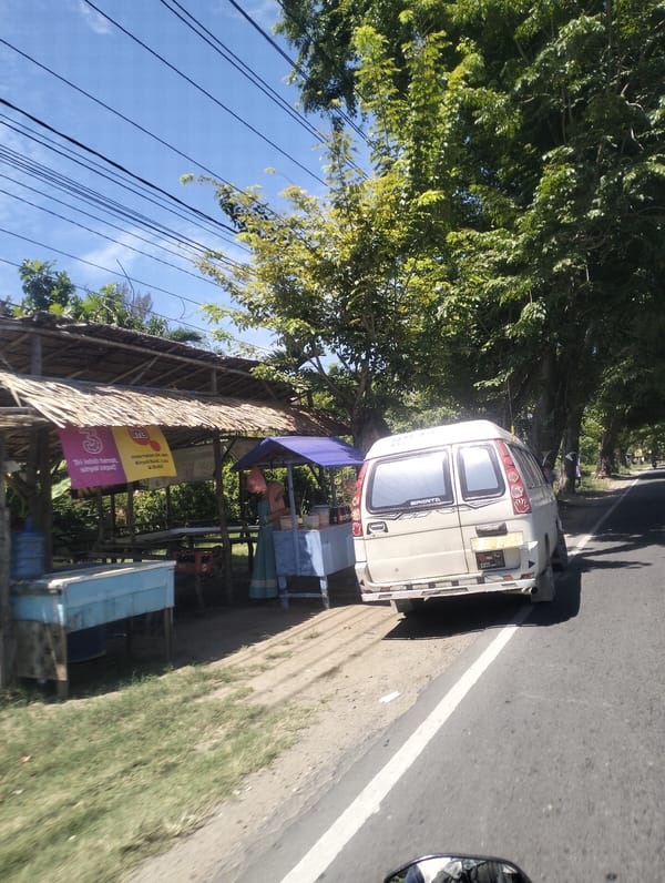 Sunny roadside stall scene with a parked white van nearby
