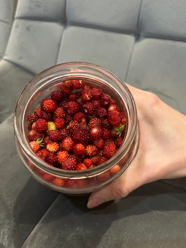 Jar of freshly picked wild strawberries in Chelyabinsk