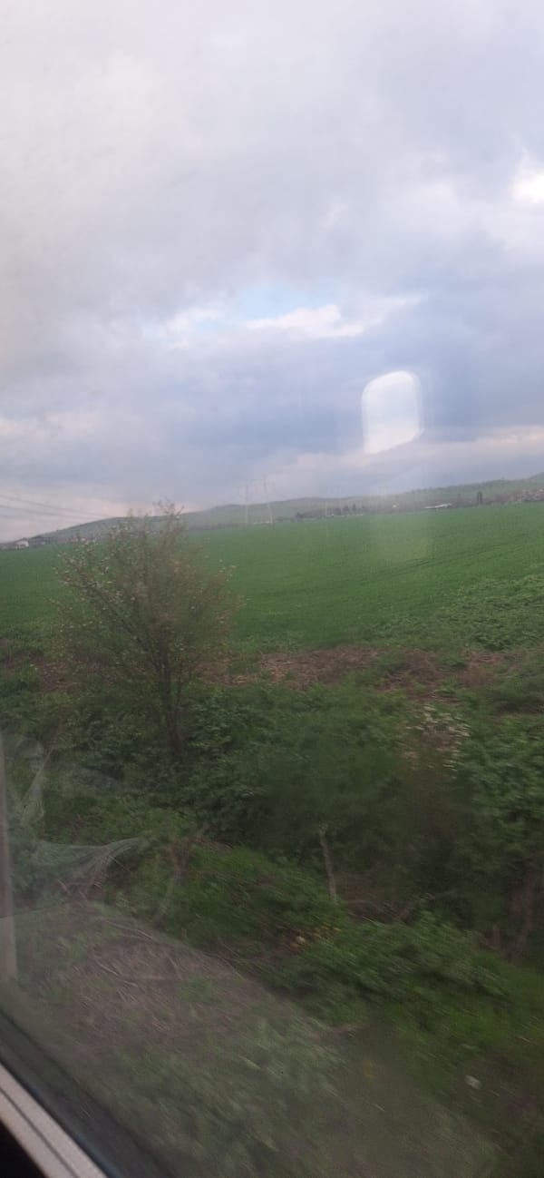 Rural landscape with power lines documented in Bulgarovo, Bulgaria