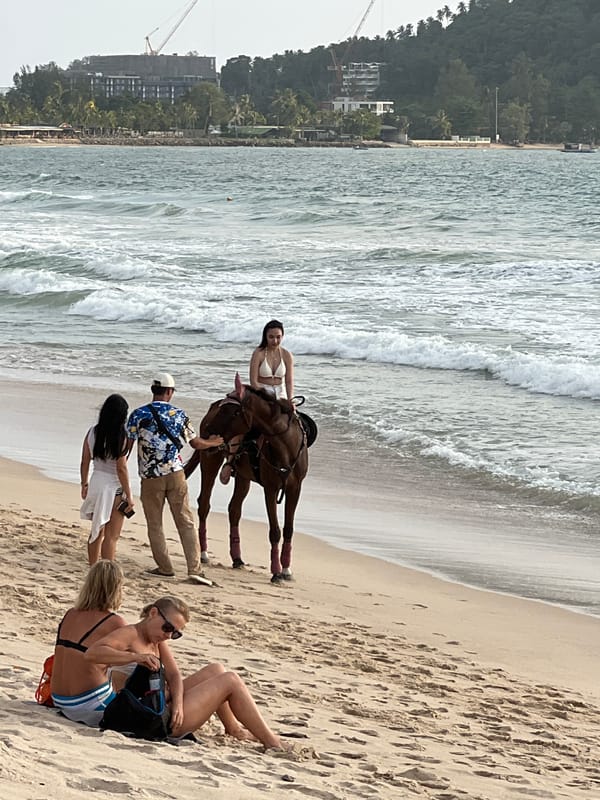 Horseback riding and beach life on a Choeng Thale morning
