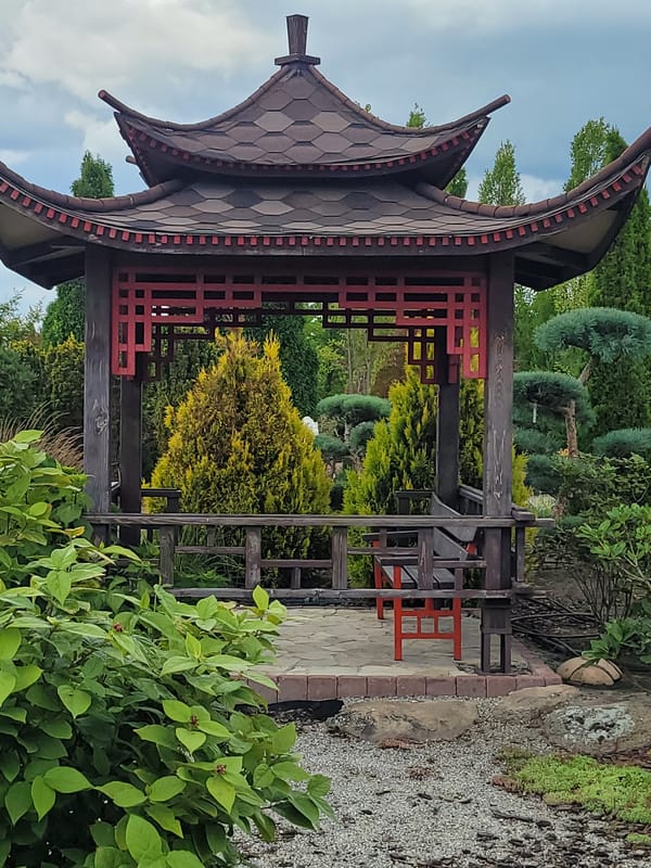 Japanese garden with bonsai, architecture, and a sleeping cat