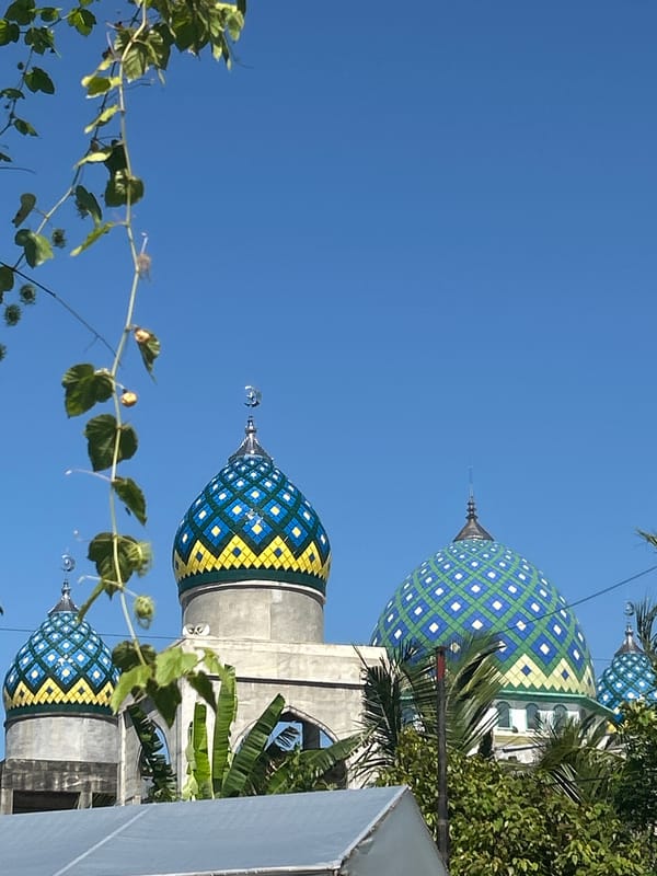 Morning scenes documented across Lhokseumawe, Indonesia including flora and architecture