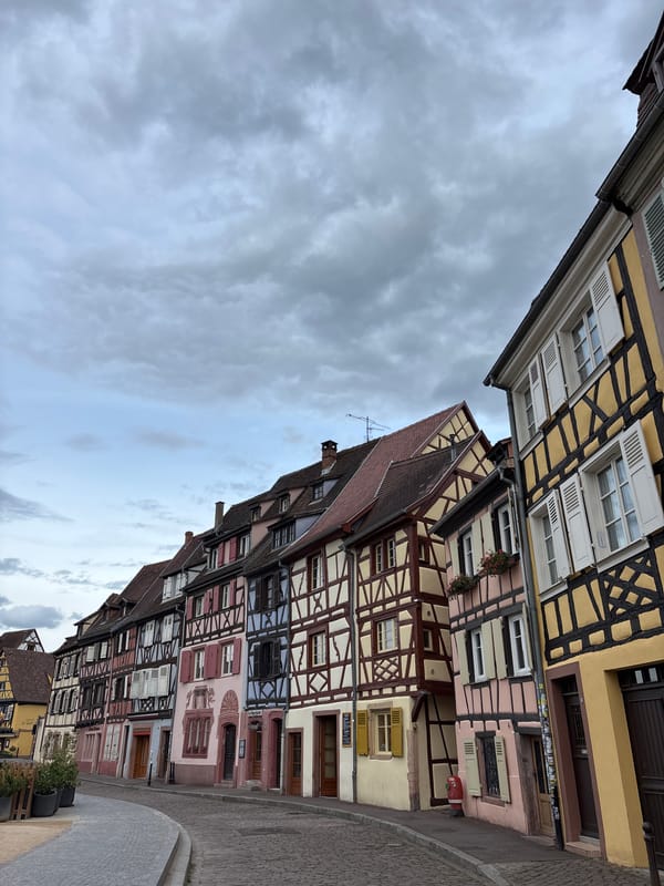 Witness documents Colmar's historic Alsatian architecture during evening walkthrough