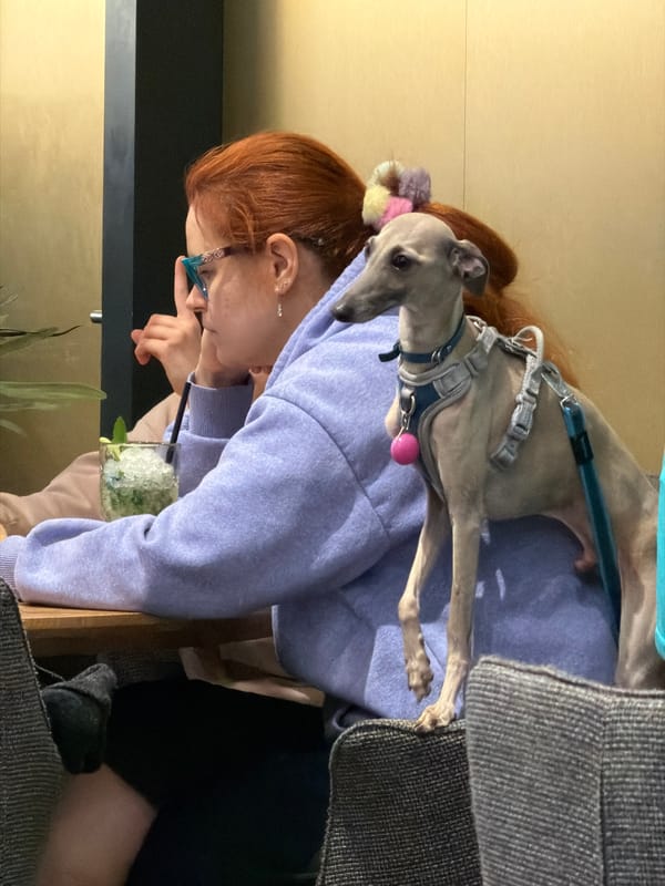 Woman dines with whippet companion at Riga restaurant