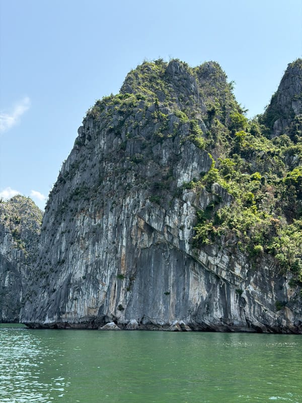 Witnesses capture Ha Long Bay's limestone karsts, emerald waters