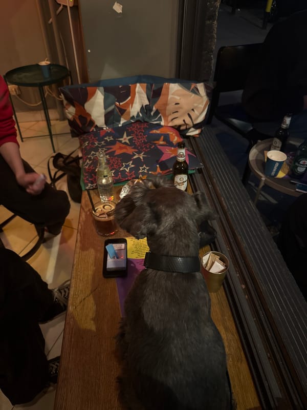 Evening social gathering documented at Belgrade bar or cafe