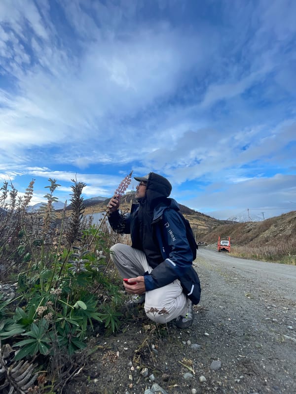 Tourist documents scenic Ushuaia landscapes and activities in Argentina