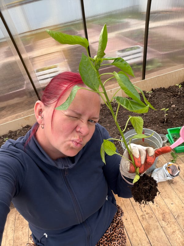 Early morning gardening session documented in Chaikovsky, Russia