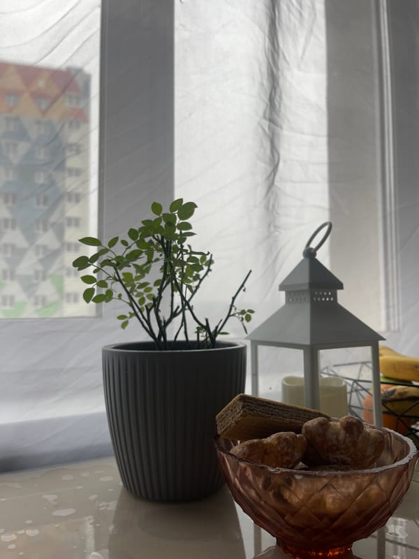 Early morning domestic moments documented in Izhevsk homes