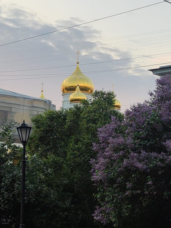 Spring blooms and urban scenes captured across Pushkin, Russia