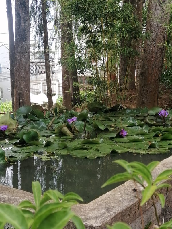 Buddhist temple grounds in Da Lat, Vietnam — statues, shrines, gardens