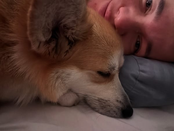 Woman and dog share quiet morning moment in Chaikovsky