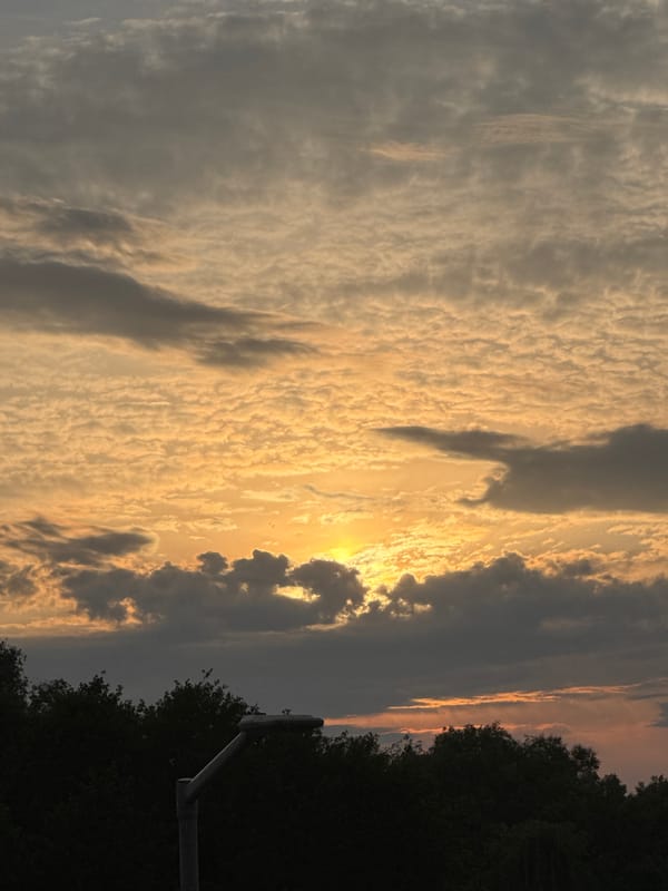 A summer evening in Pruszcz Gdański, indoors and out