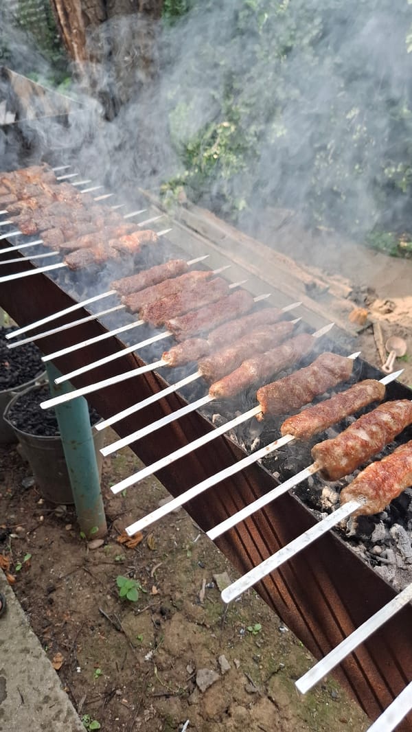 Backyard shashlik cookout in rural Kazakhstan, summer morning
