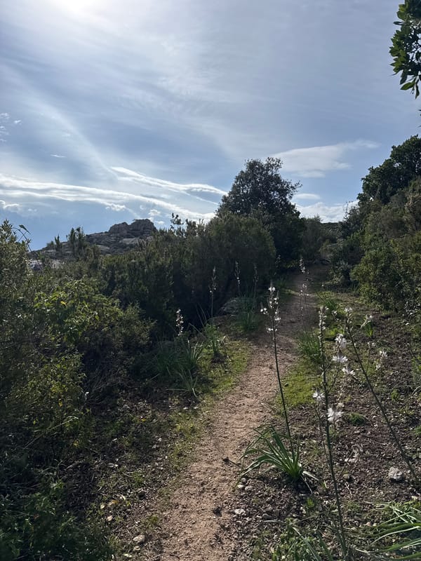 Hiking trail captured in Calvi, France