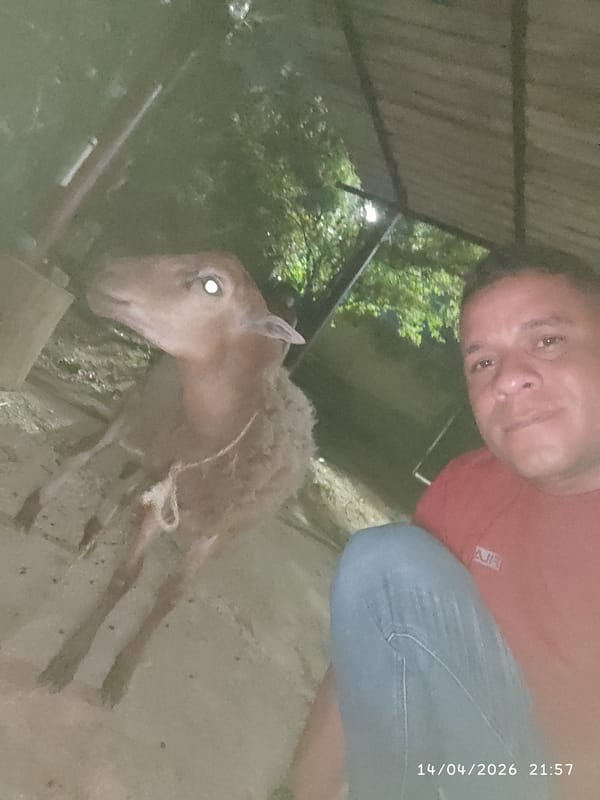 Man Takes Late-Night Selfies With Sheep in Dim Setting