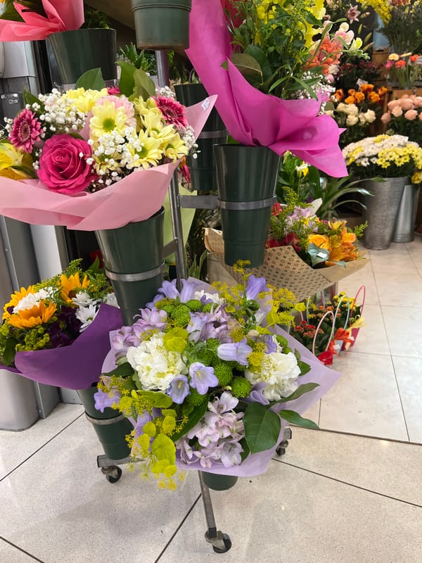 Urban snapshots capture flower shops, malls, parks in unknown city