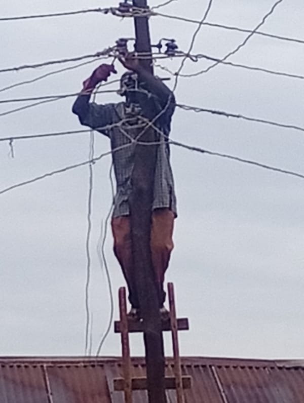 Man on ladder at electrical pole during morning hours