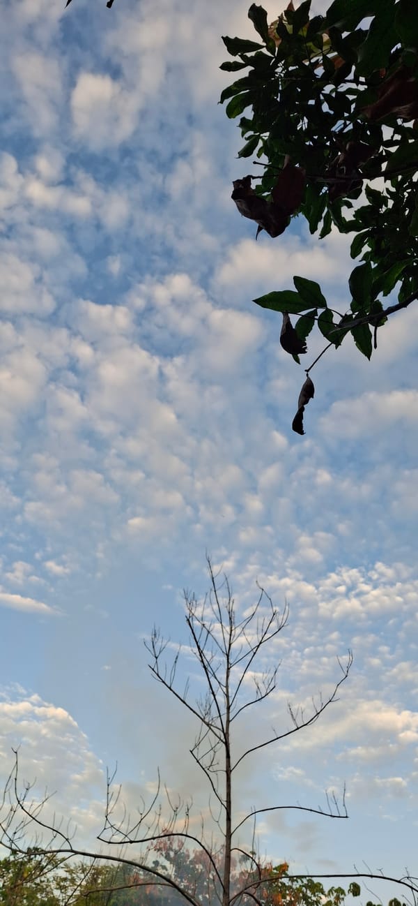 Evening sky and cloud formations observed in Vallecito, Venezuela