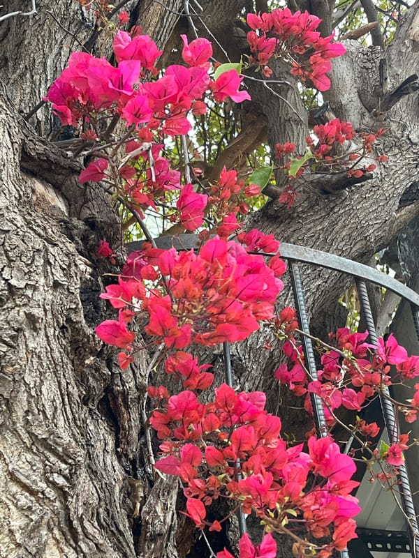 Street scenes and urban details captured in Alanya, Turkey