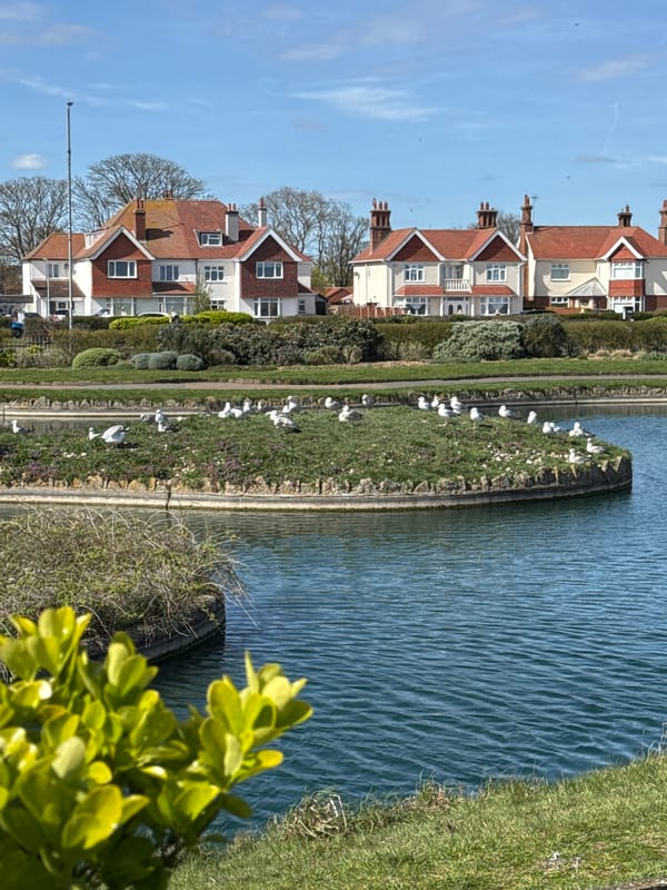 Canal scene documented in Great Yarmouth showing residential waterway