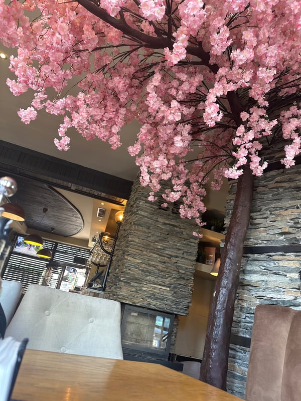 Restaurant interior with artificial cherry blossoms documented in Razlog