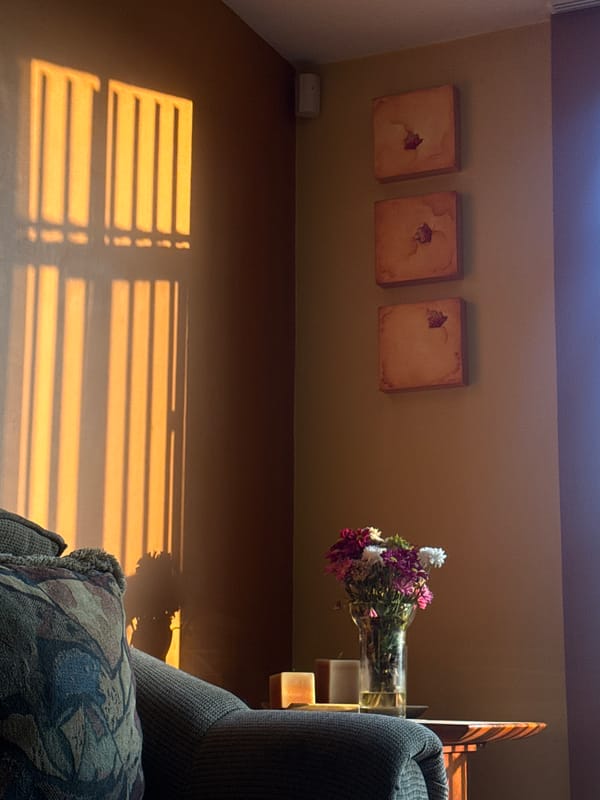 Sunlight through blinds creates striped patterns in decorated room