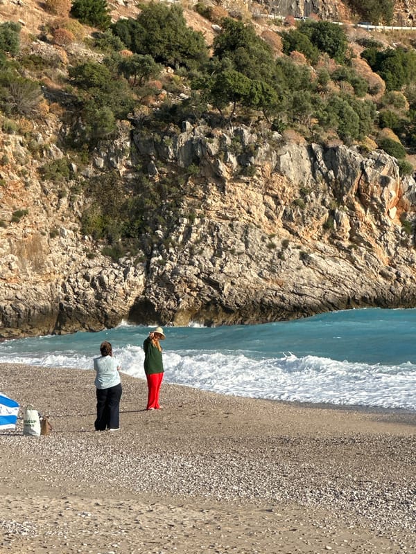 Man collects driftwood on Turkish beach in Fethiye