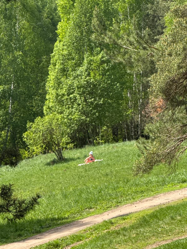 Morning forest scenes documented in Kazan, Russia