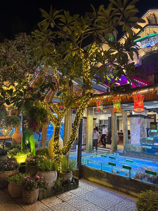 Nighttime restaurant district activity documented across Đà Nẵng, Vietnam