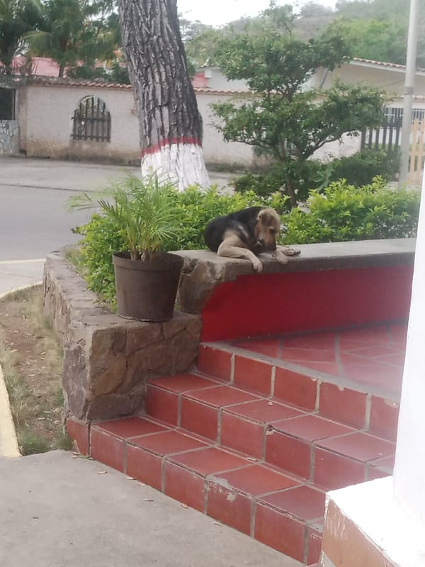 Evening documentation of historic fort and daily life in Santa Ana, Venezuela