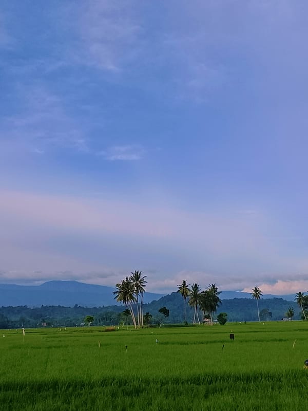 Green rice paddies and rural calm in Kampung Jumpa, Indonesia