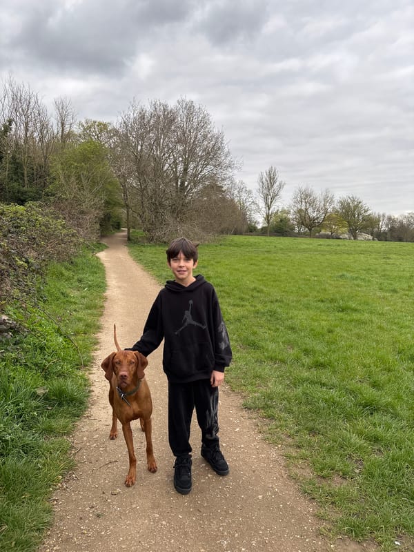 Person walks dog on dirt path in Broxbourne