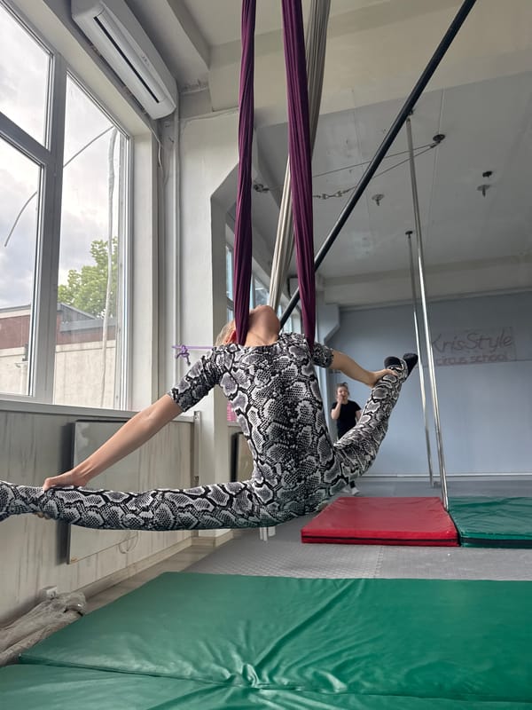 Aerial silks training in full swing at a Dnipro studio