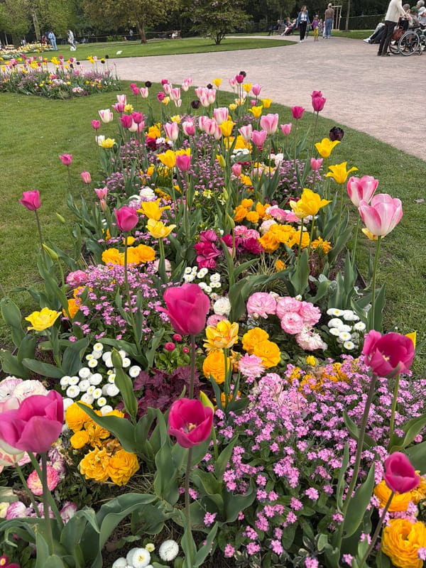 Spring afternoon documented across Strasbourg parks and Council of Europe