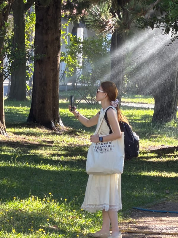 Tourist activity around Budva park and bus area