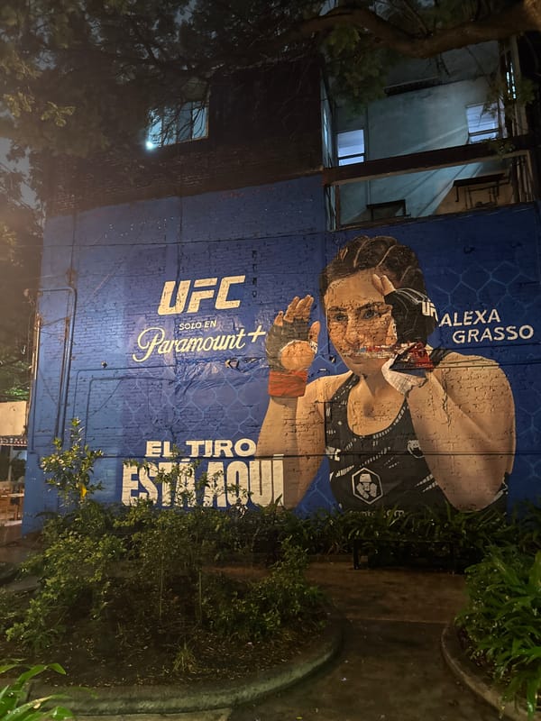 UFC Mural, Local Bar Documented in Mexico City