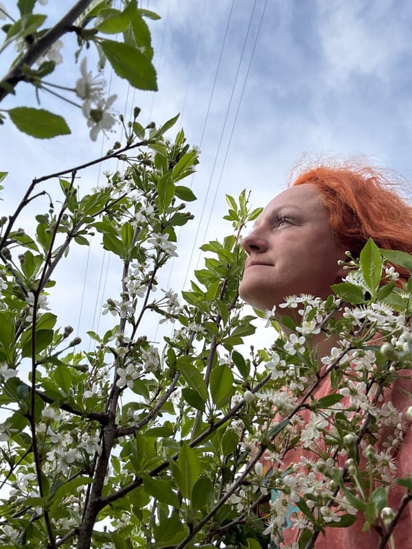 Person observes spring blossoms in Chaikovsky, Russia early morning